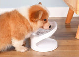 Cat Bowl Pet Diagonal Mouth
